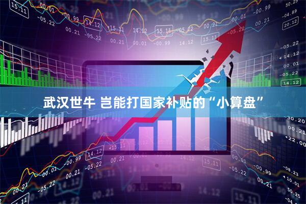 武汉世牛 岂能打国家补贴的“小算盘”