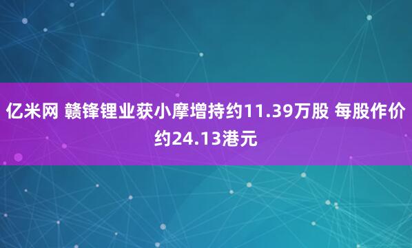 亿米网 赣锋锂业获小摩增持约11.39万股 每股作价约24.13港元