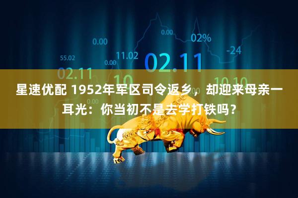 星速优配 1952年军区司令返乡，却迎来母亲一耳光：你当初不是去学打铁吗？
