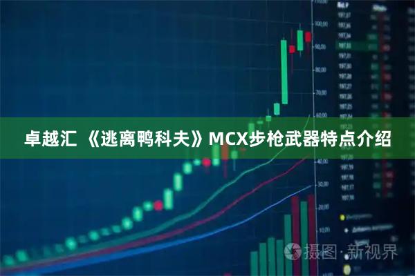 卓越汇 《逃离鸭科夫》MCX步枪武器特点介绍
