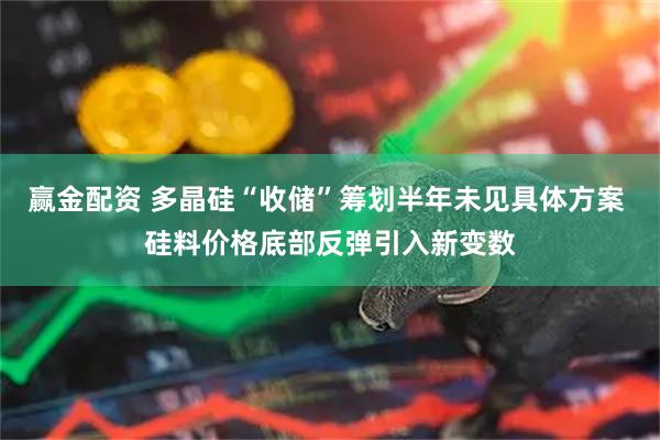 赢金配资 多晶硅“收储”筹划半年未见具体方案 硅料价格底部反弹引入新变数