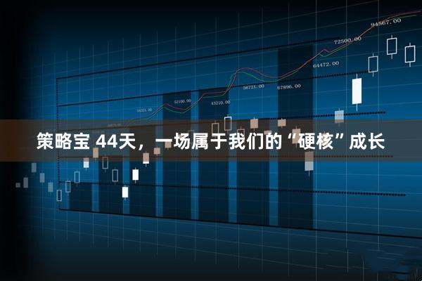 策略宝 44天，一场属于我们的“硬核”成长