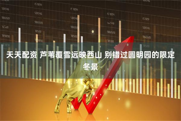 天天配资 芦苇覆雪远映西山 别错过圆明园的限定冬景