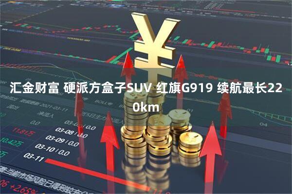汇金财富 硬派方盒子SUV 红旗G919 续航最长220km