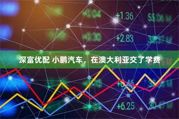 深富优配 小鹏汽车，在澳大利亚交了学费